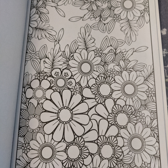 Adult Coloring Books (Set of 5) - Picture 9 of 11